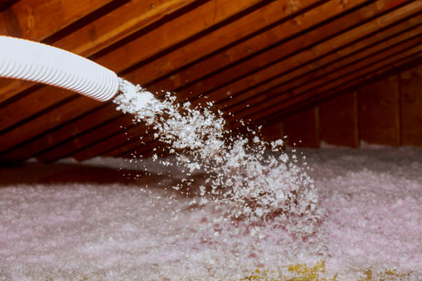 Best Geographic-Specific Insulation Services in Franklinville, NC