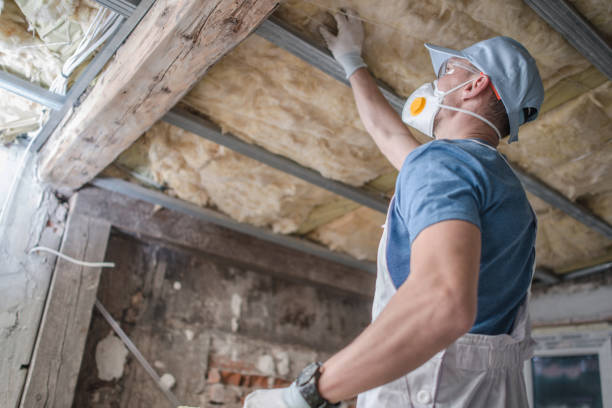 Best Cellulose Insulation in Franklinville, NC